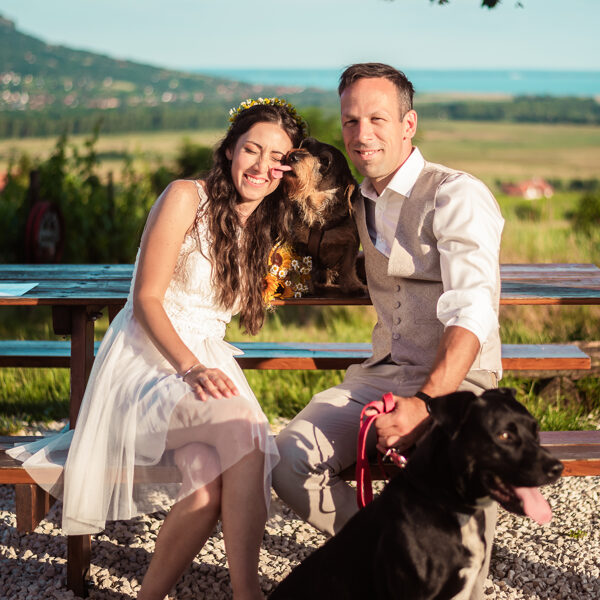 Kutyás esküvő - Igaz Igen Szertartásvezető 